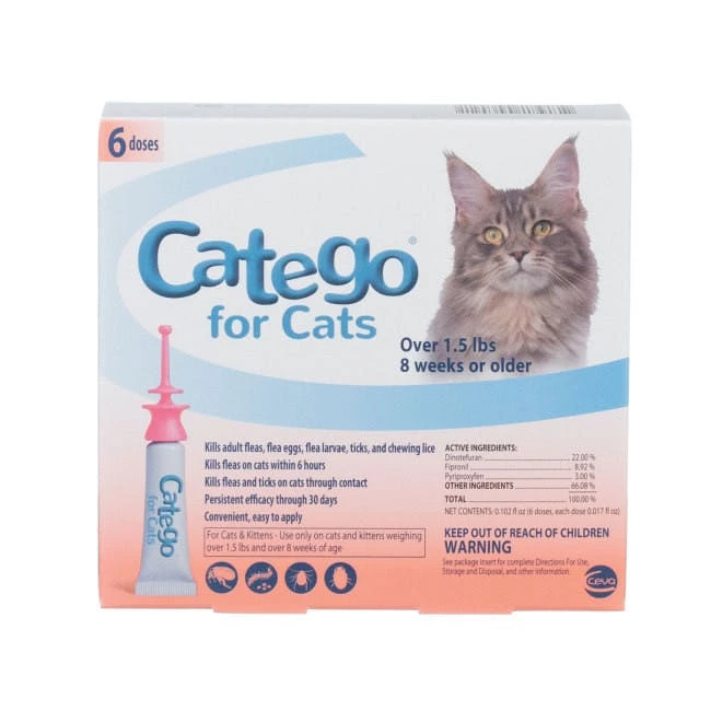 Catego® - 6 Pk 3 Catego® - 6 Pk